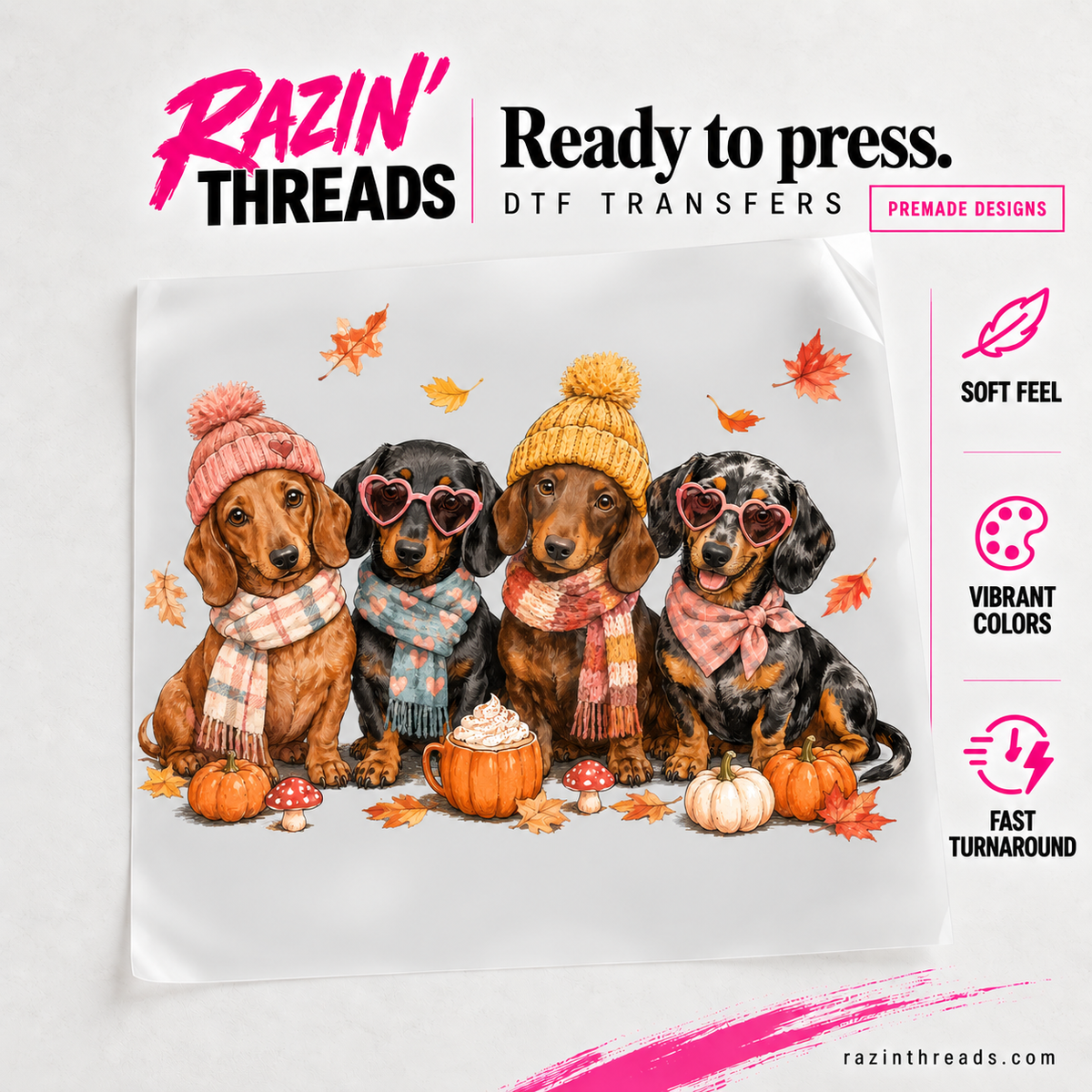 Fall Dachshunds DTF Transfer shown on transfer film with Razin’ Threads branding.