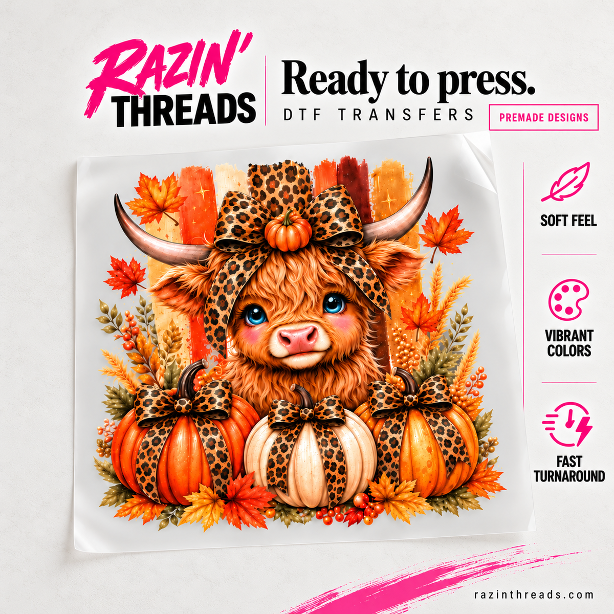 Fall Highland Cow DTF Transfer shown on transfer film with Razin’ Threads branding.