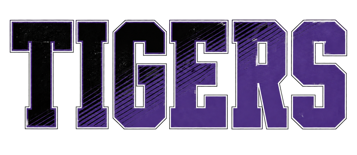 Tigers black and purple diagonal school spirit design